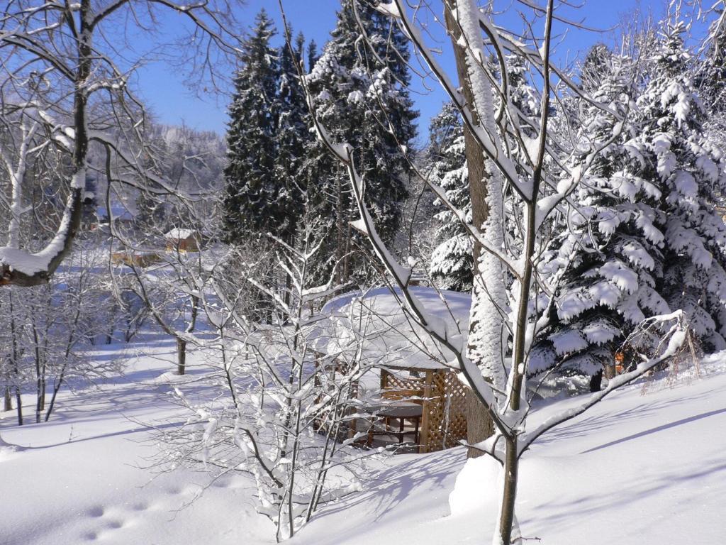 Hotel Villa Romantica Szklarska Poreba Dış mekan fotoğraf